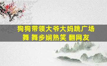 狗狗带领大爷大妈跳广场舞 舞步娴熟笑 翻网友